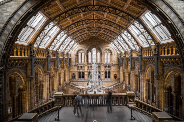 Natural History Museum