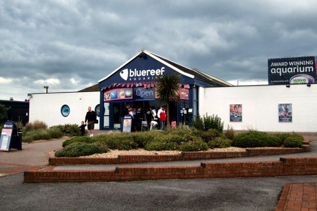 Blue Reef Aquarium
