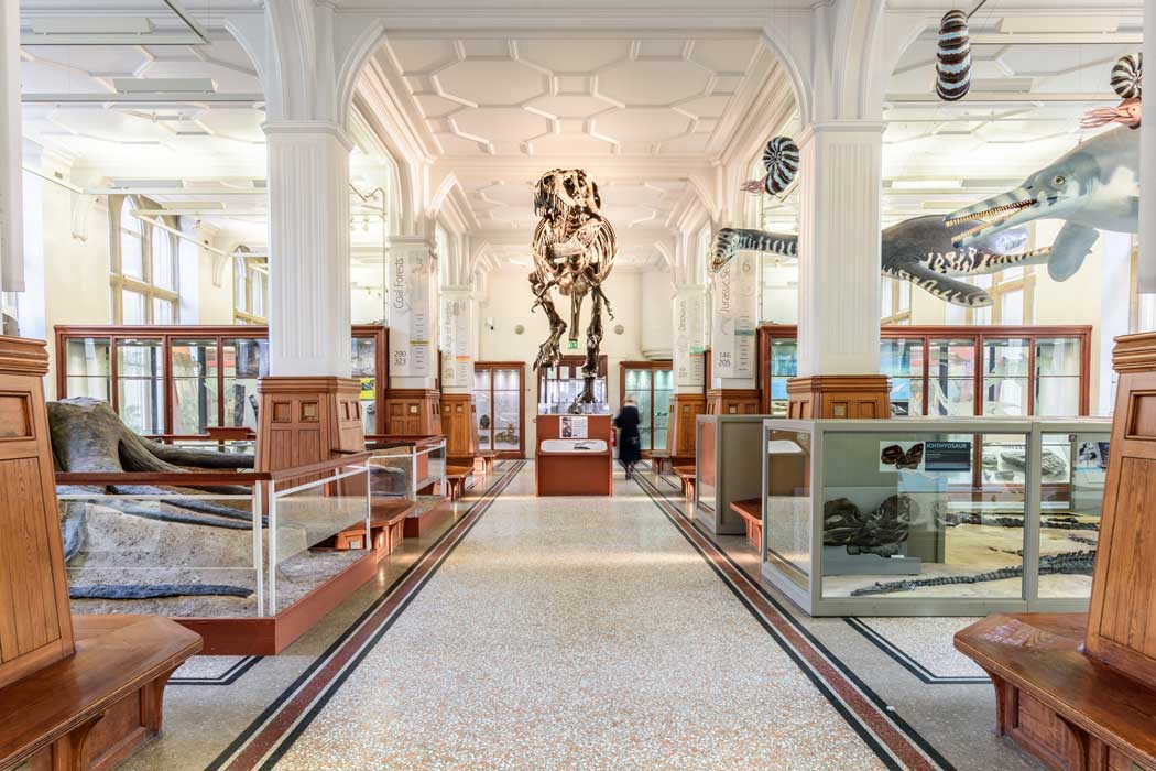 Manchester Museum is a museum displaying works of archaeology, anthropology and natural history and is owned by the University of Manchester. (Photo: Marketing Manchester)
