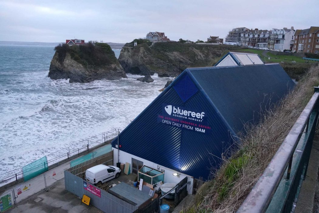 Visiting Blue Reef Aquarium in Newquay