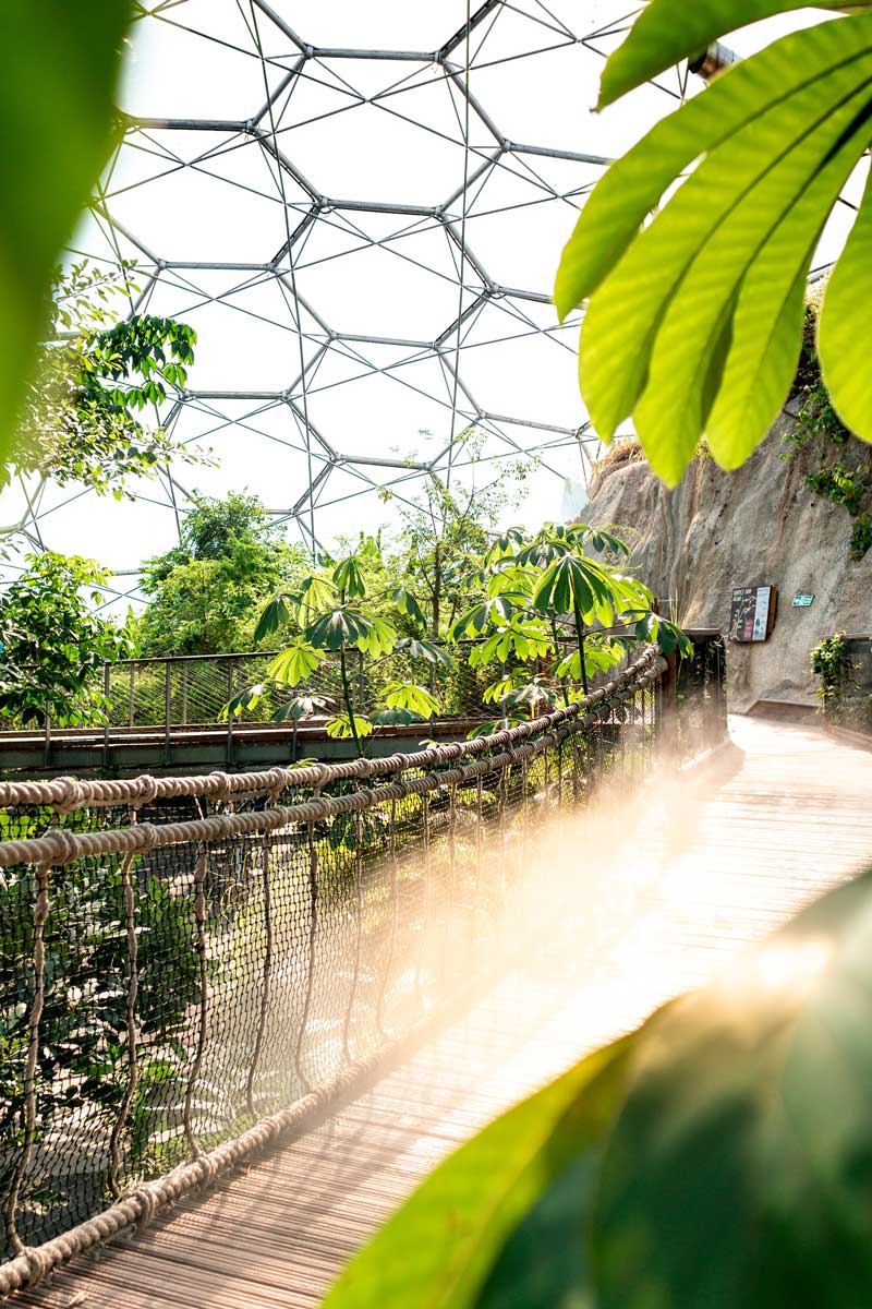 Inside the Rainforest Biome at the Eden Project. (Photo by Jack Young on Unsplash)