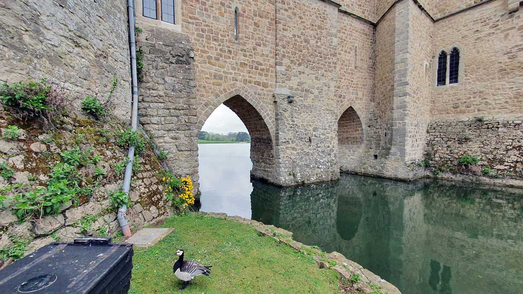 Leeds Castle is surrounded by a moat. (Image by Charles from Pixabay)