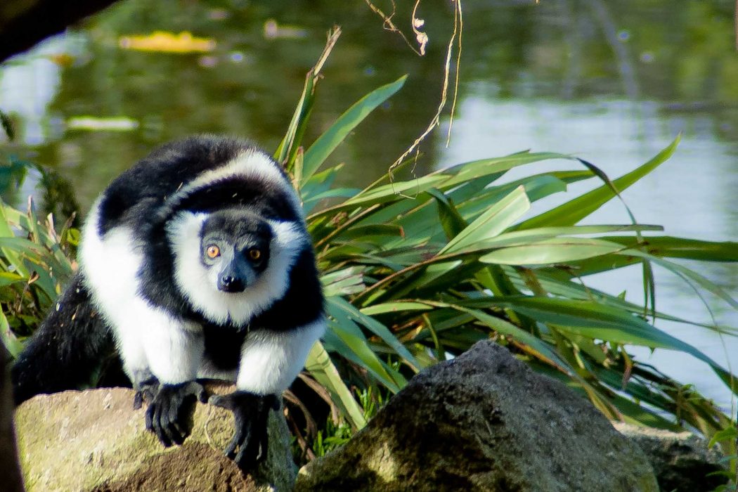 Visiting Newquay Zoo in Newquay, Cornwall