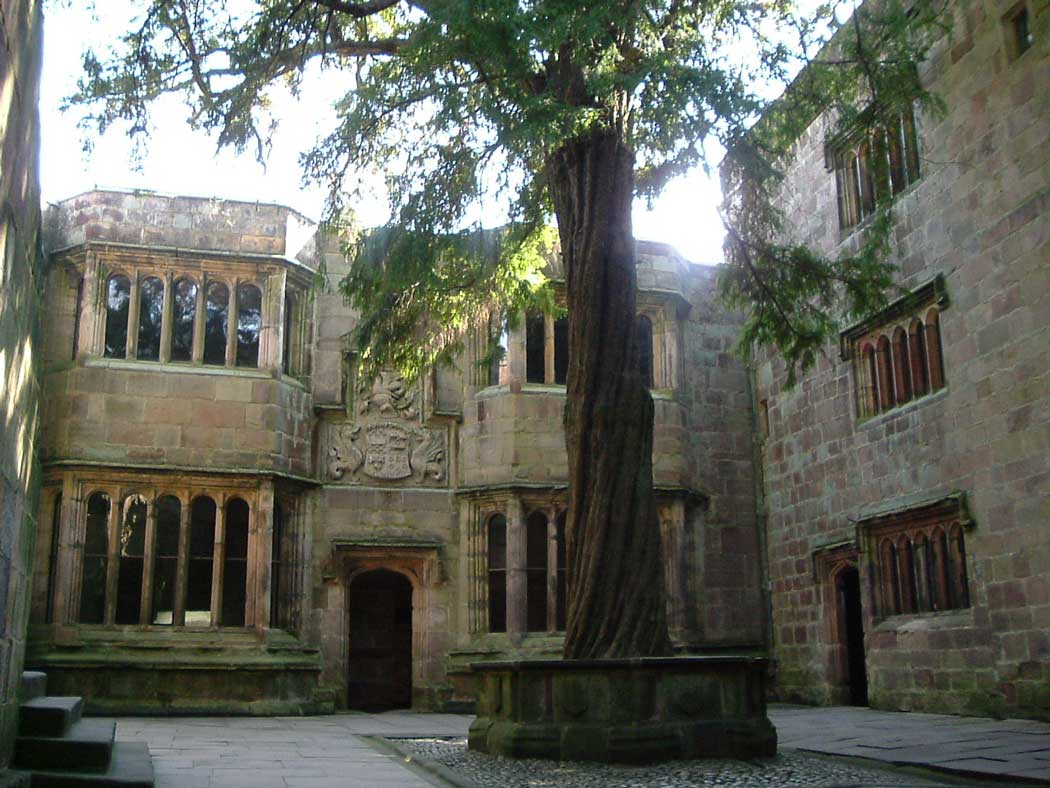 The yew tree in Conduit Court planted by Lady Anne Clifford in 1659, after completion of repairs following the English Civil War (1642–1651)