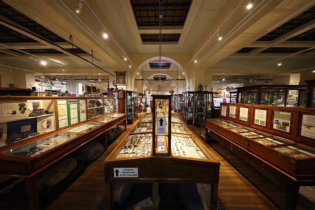 Inside Whitby Museum. (Photo: Geni [CC BY-SA 4.0])