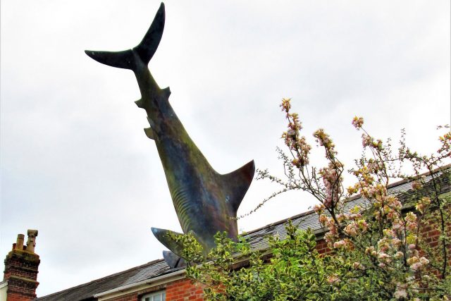 The Headington Shark