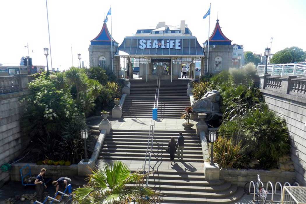 Visiting The Sea Life Brighton Aquarium Englandrover Visiting The Sea Life Brighton Aquarium Englandrover