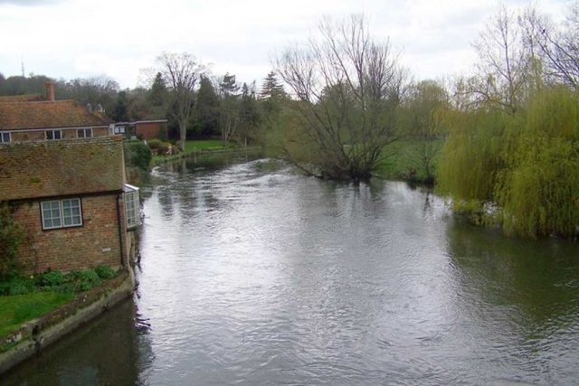 Punting in Salisbury