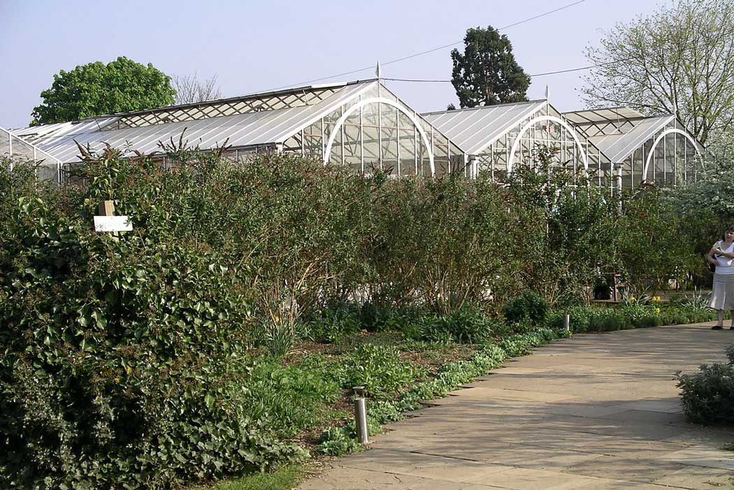 Greenhouses at the Stratford Butterfly Farm simulate a tropical environment. (Photo: Snowmanradio [CC BY-SA 3.0])