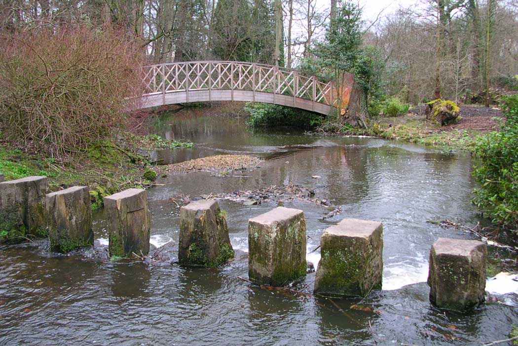 Stepping stones below the cascade at the Himalayan Garden at Harewood. 