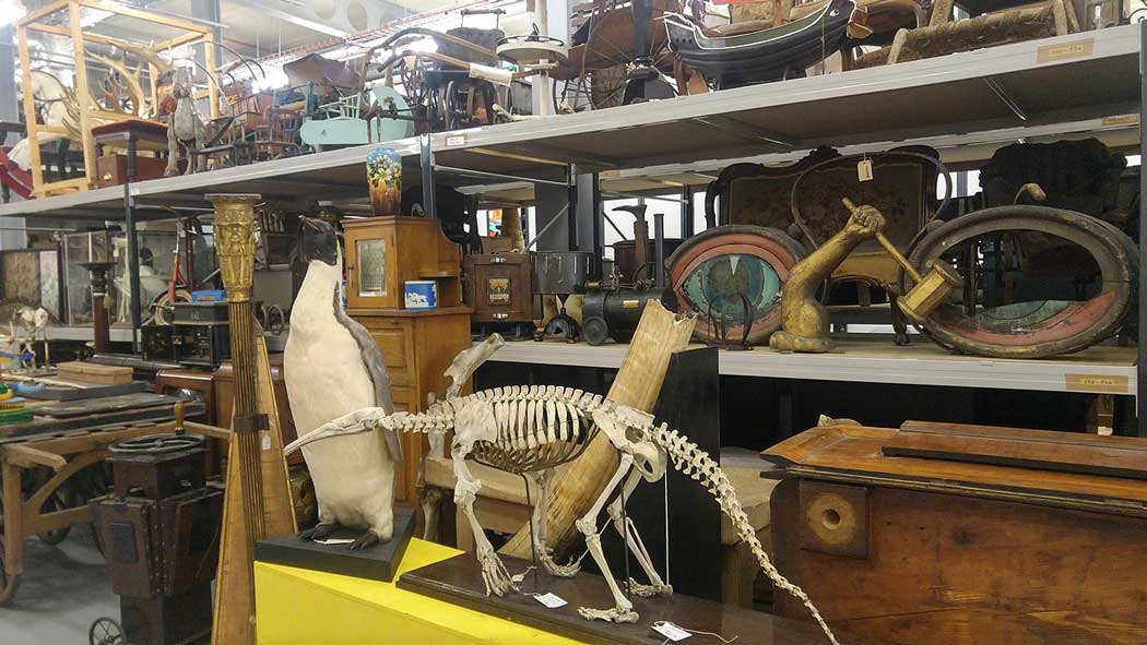 The eclectic collection held inside the Leeds Discovery Centre includes an anteater skeleton and a stuffed penguin. (Photo: Lajmmoore [CC BY-SA 4.0])