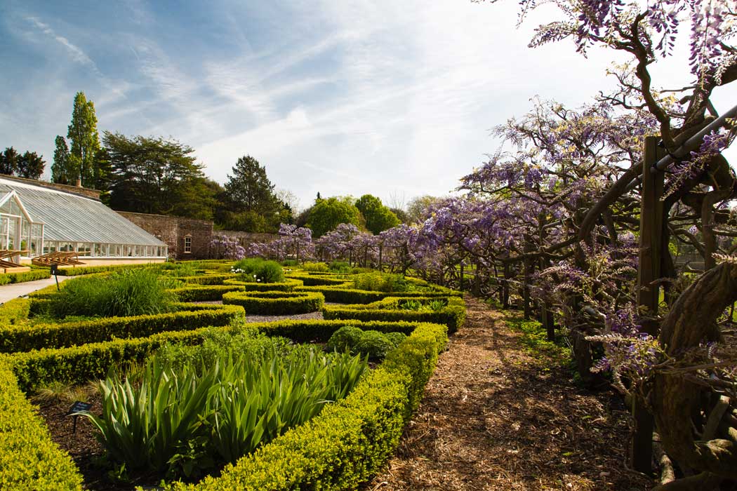 The knot garden at Fulham Palace. (Photo: Matthew Bruce, Fulham Palace Trust)