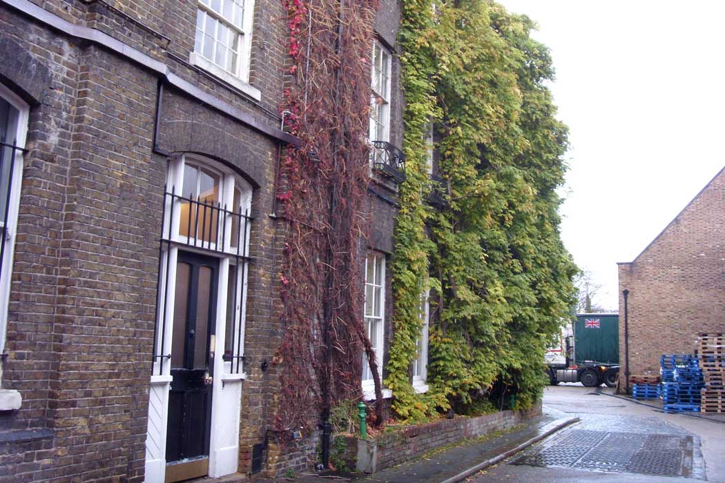 The wisteria plant on Fuller’s Griffin Brewery was planted in 1816 and is the oldest wisteria in the United Kingdom.