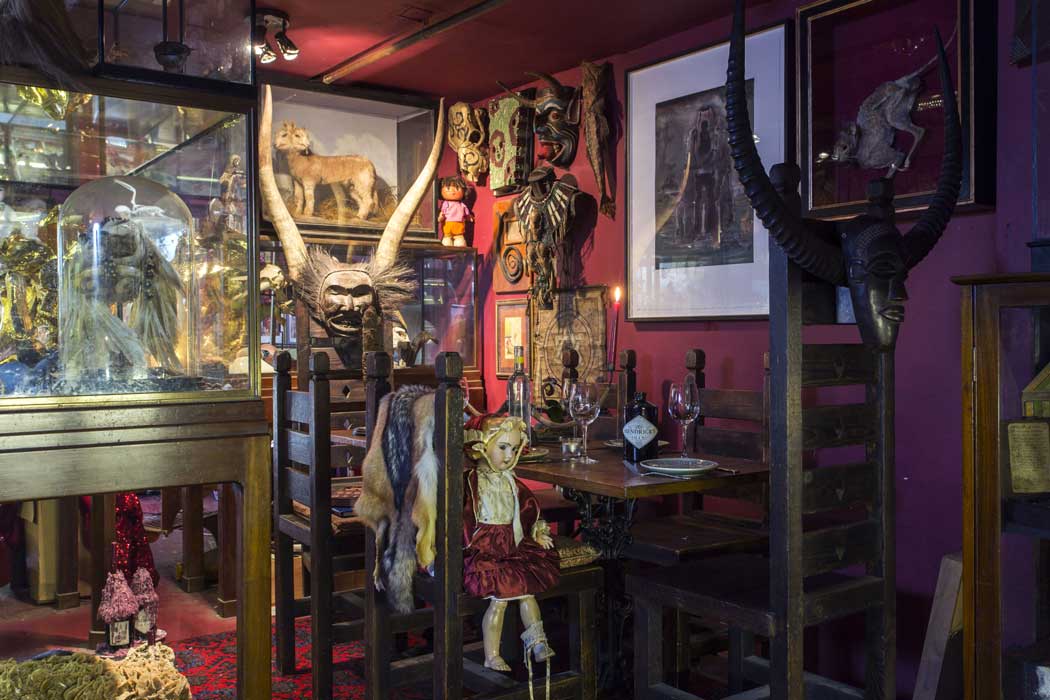 A visit to the Viktor Wynd Museum of Curiosities, Fine Art & Natural History is a very different experience to most other museums in London. (Photo © Oskar Proctor)
