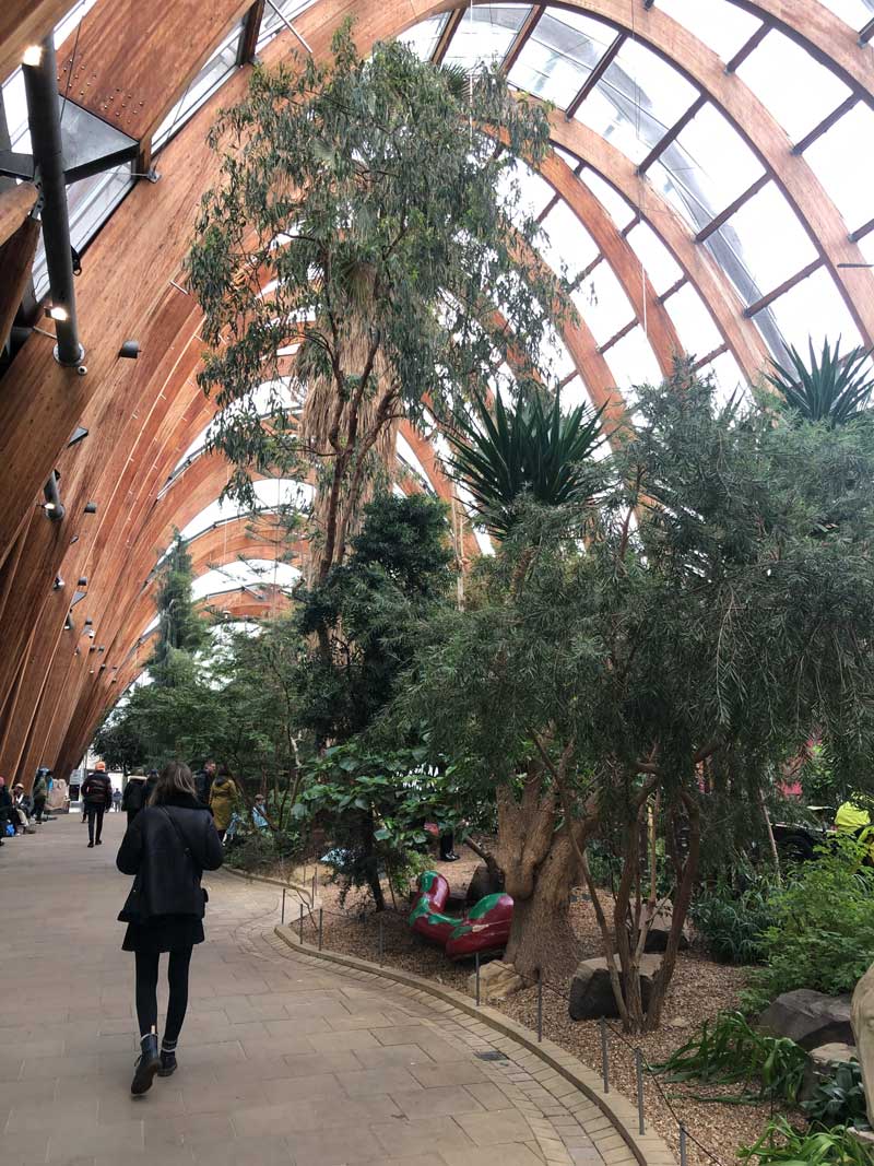 Inside the Sheffield Winter Garden. (Photo © 2024 Rover Media)