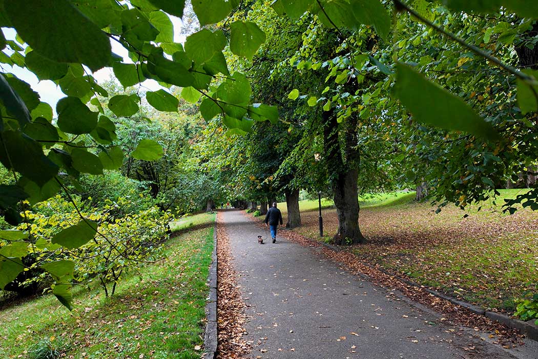 Valley Gardens is a lovely public park, close to the town centre. (Photo © 2025 Rover Media)